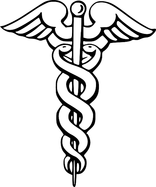 caduceus image